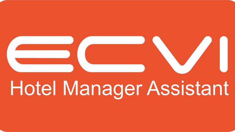Ecvi Manager Assistant работает